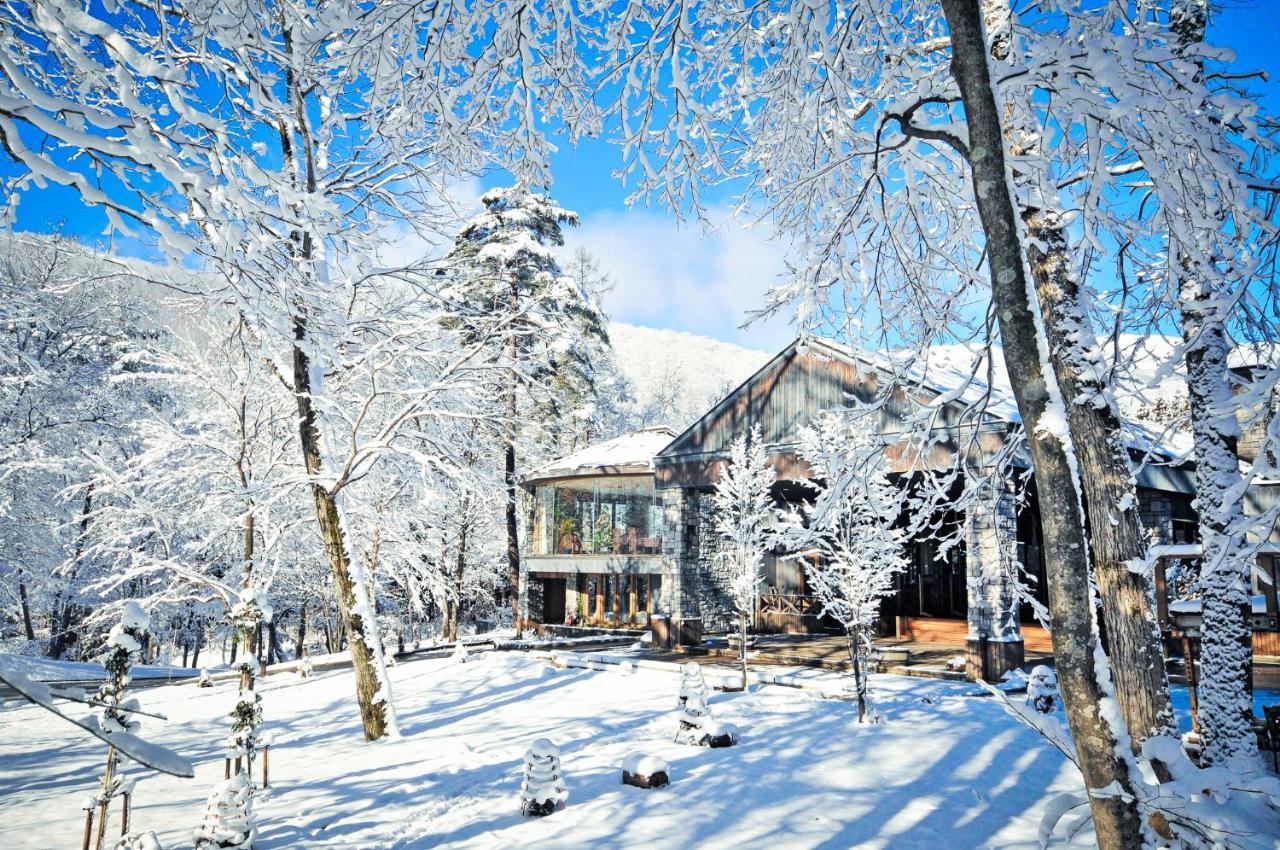 Hotel Sierra Resort Hakuba Exterior photo